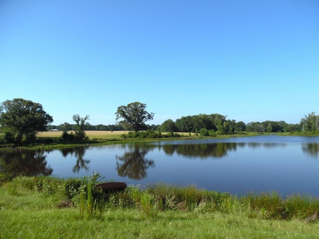 99.2 acres in Henderson County - photo 40