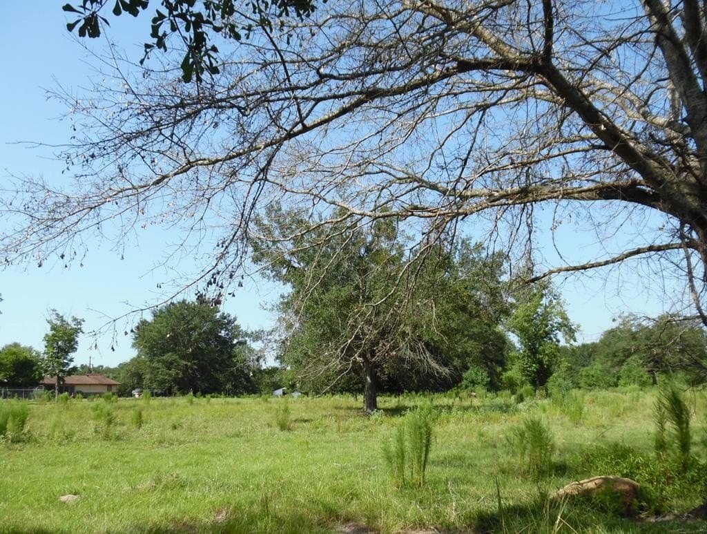 99.2 acres in Henderson County - photo 33
