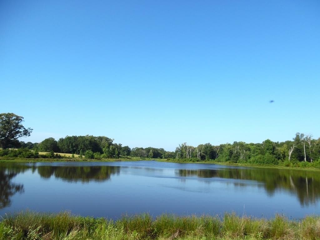 99.2 acres in Henderson County - photo 41