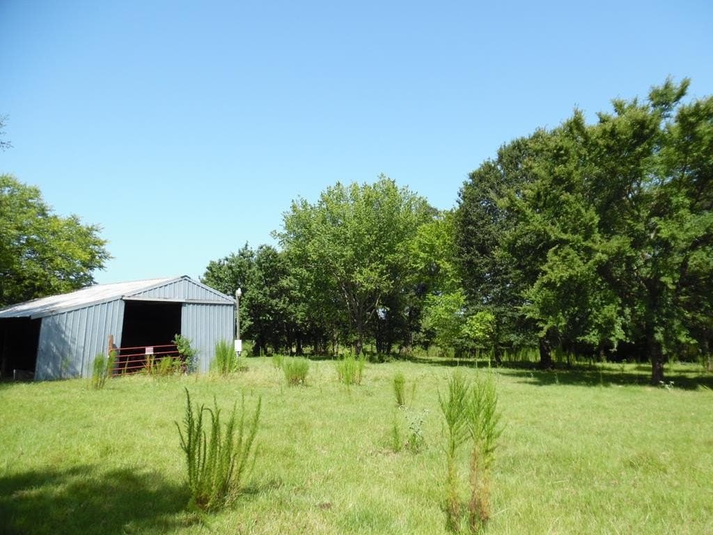 99.2 acres in Henderson County - photo 14
