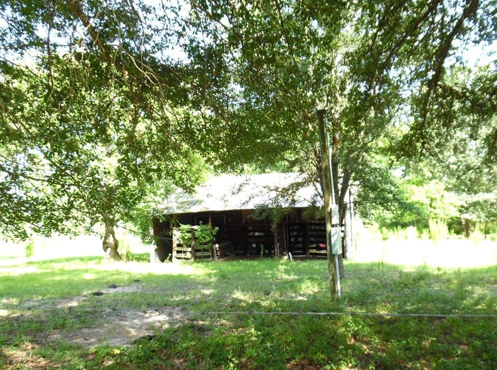 99.2 acres in Henderson County - photo 10