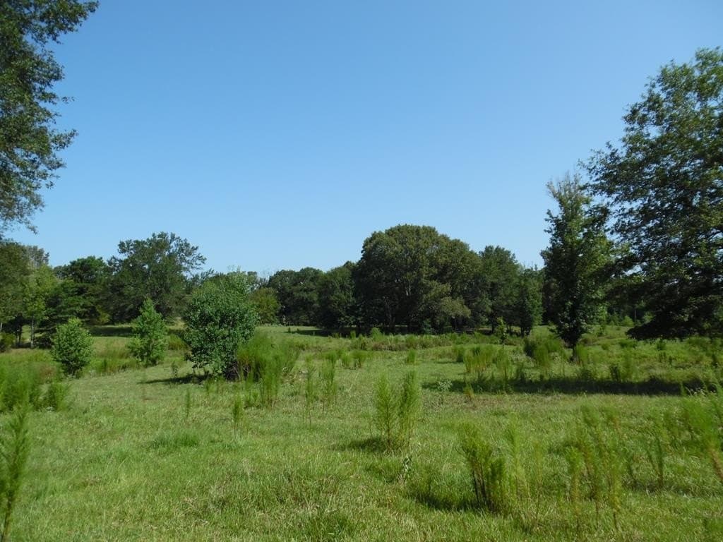 99.2 acres in Henderson County - photo 35