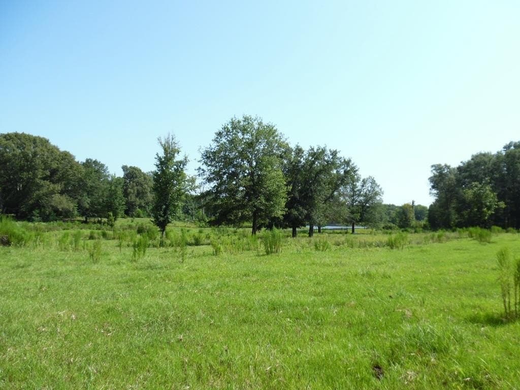 99.2 acres in Henderson County - photo 15
