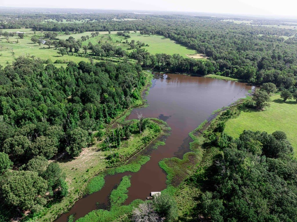 99.2 acres in Henderson County - photo 16
