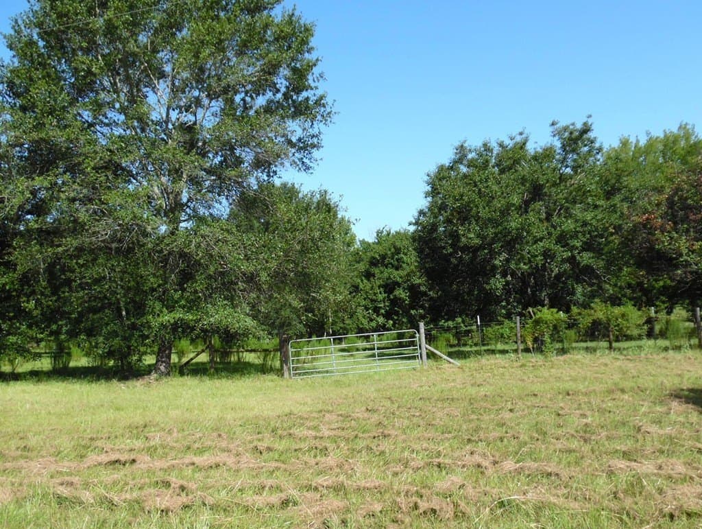 99.2 acres in Henderson County gallery image 3