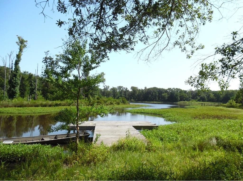 99.2 acres in Henderson County - photo 9