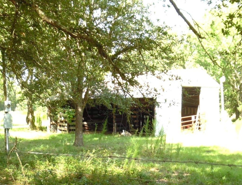 99.2 acres in Henderson County - photo 13