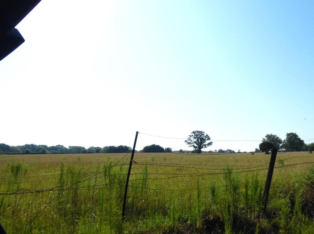 99.2 acres in Henderson County - photo 44