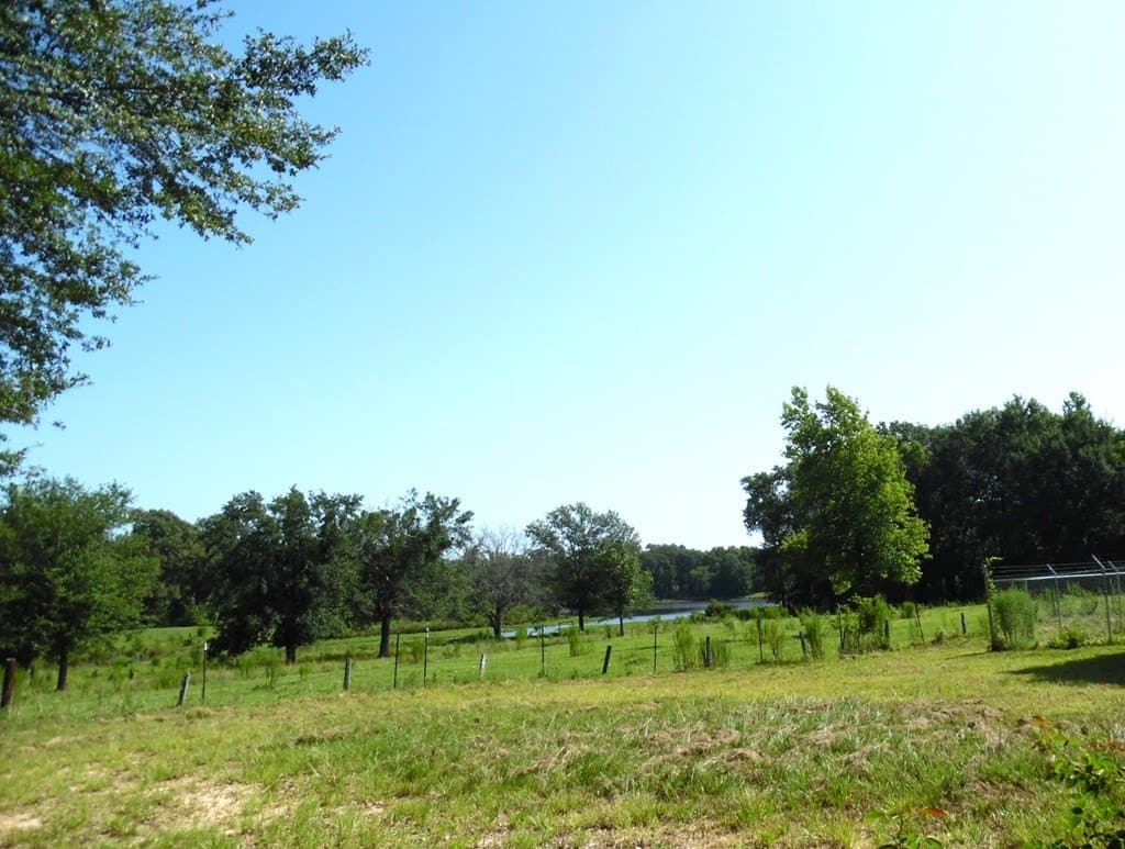 99.2 acres in Henderson County - photo 18