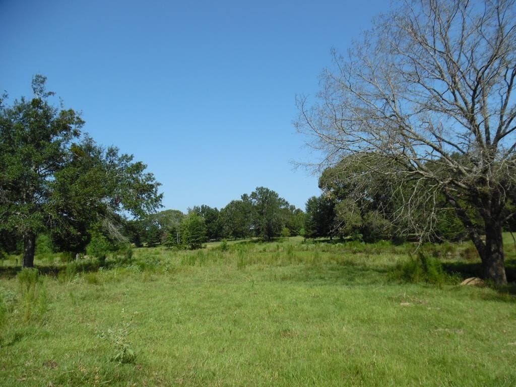 99.2 acres in Henderson County - photo 32