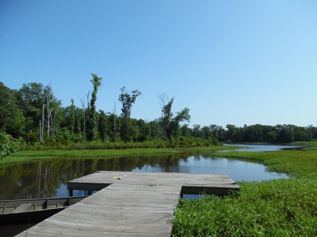 99.2 acres in Henderson County - photo 8