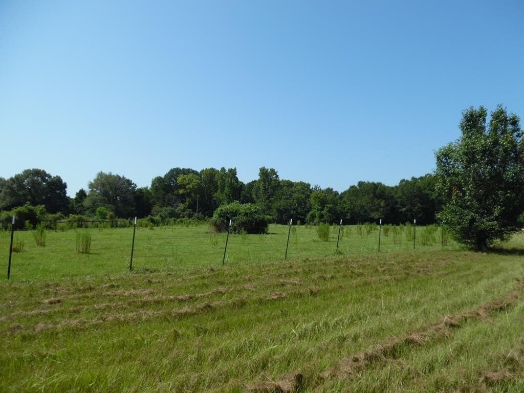 99.2 acres in Henderson County - photo 36