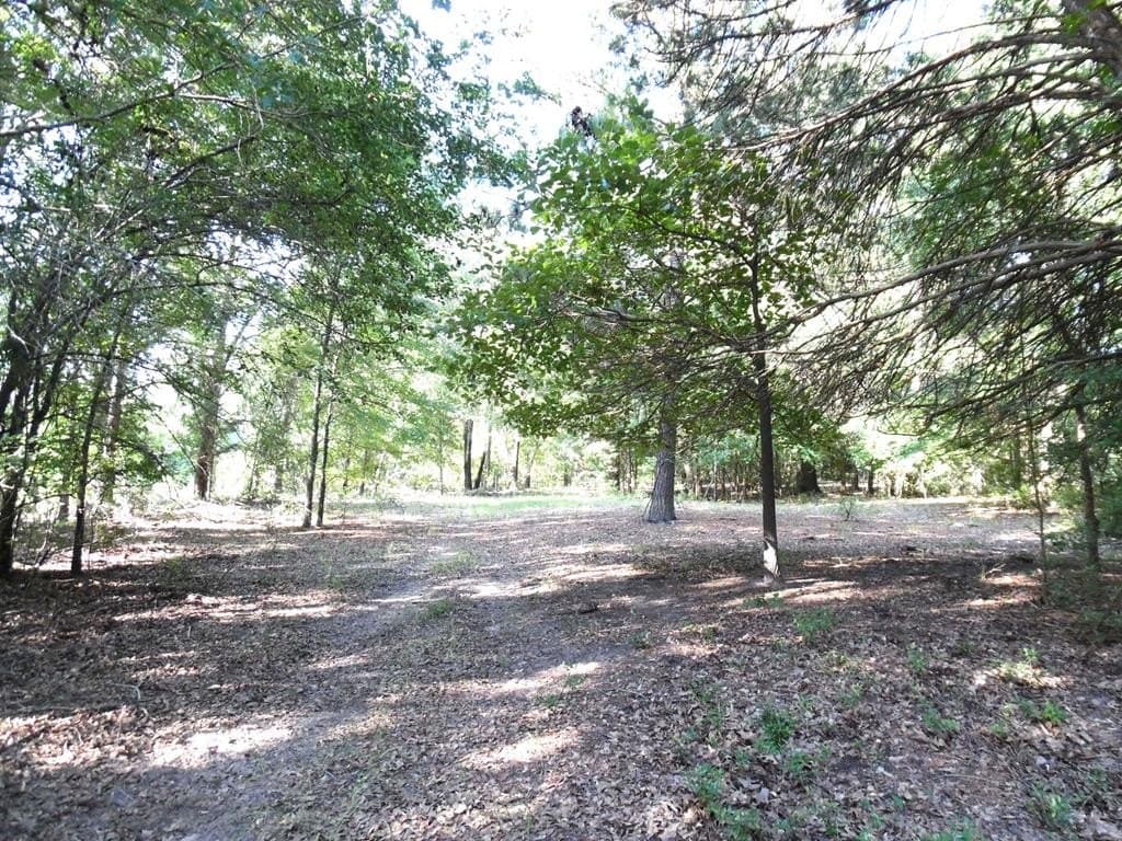 99.2 acres in Henderson County - photo 42