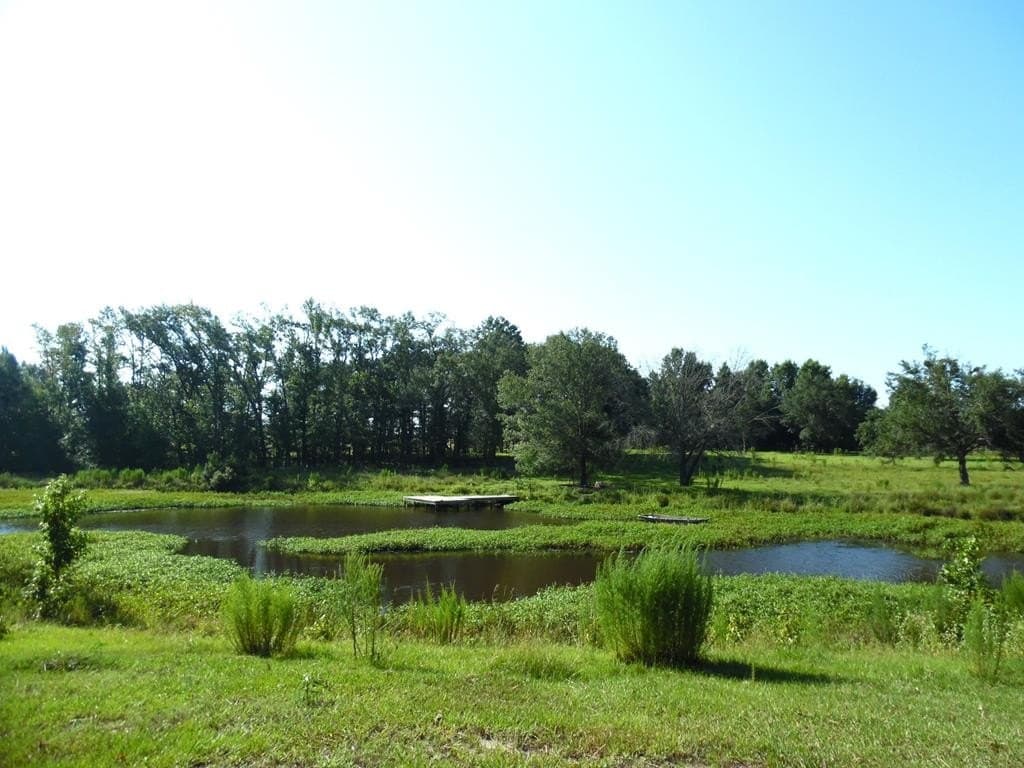 99.2 acres in Henderson County - photo 43