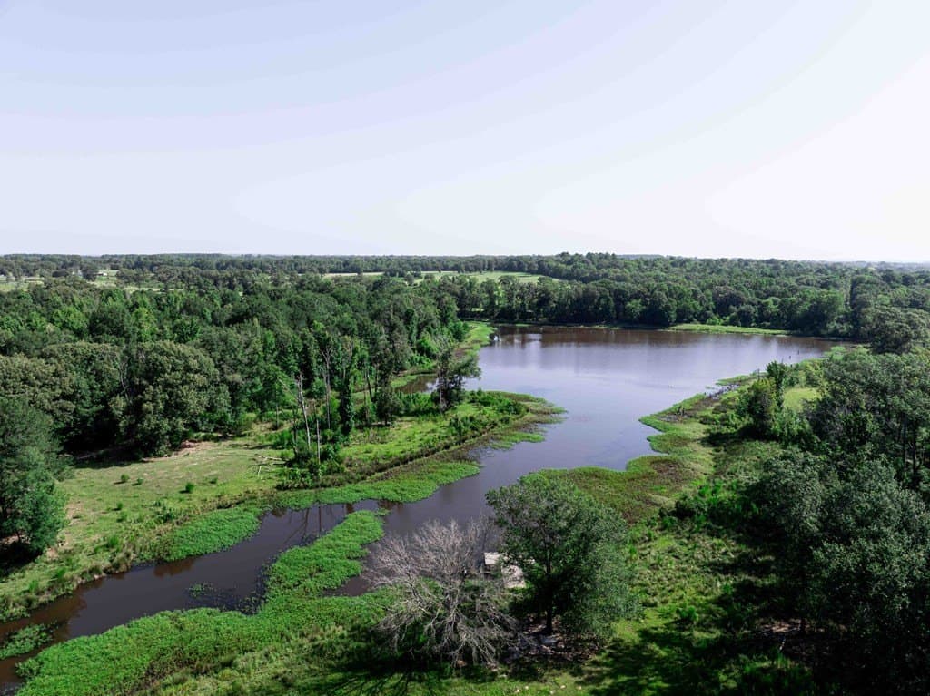 99.2 acres in Henderson County gallery image 4