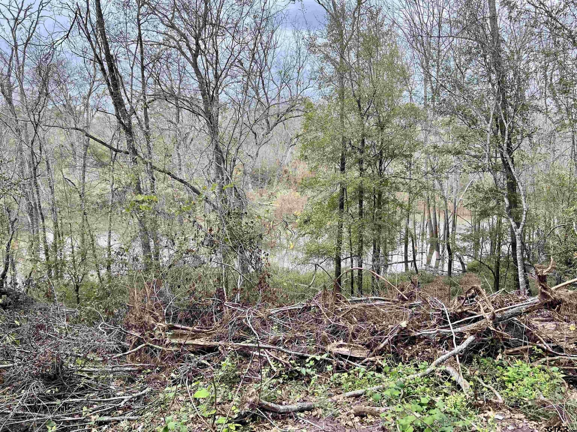 29 acres in Anderson County - photo 20