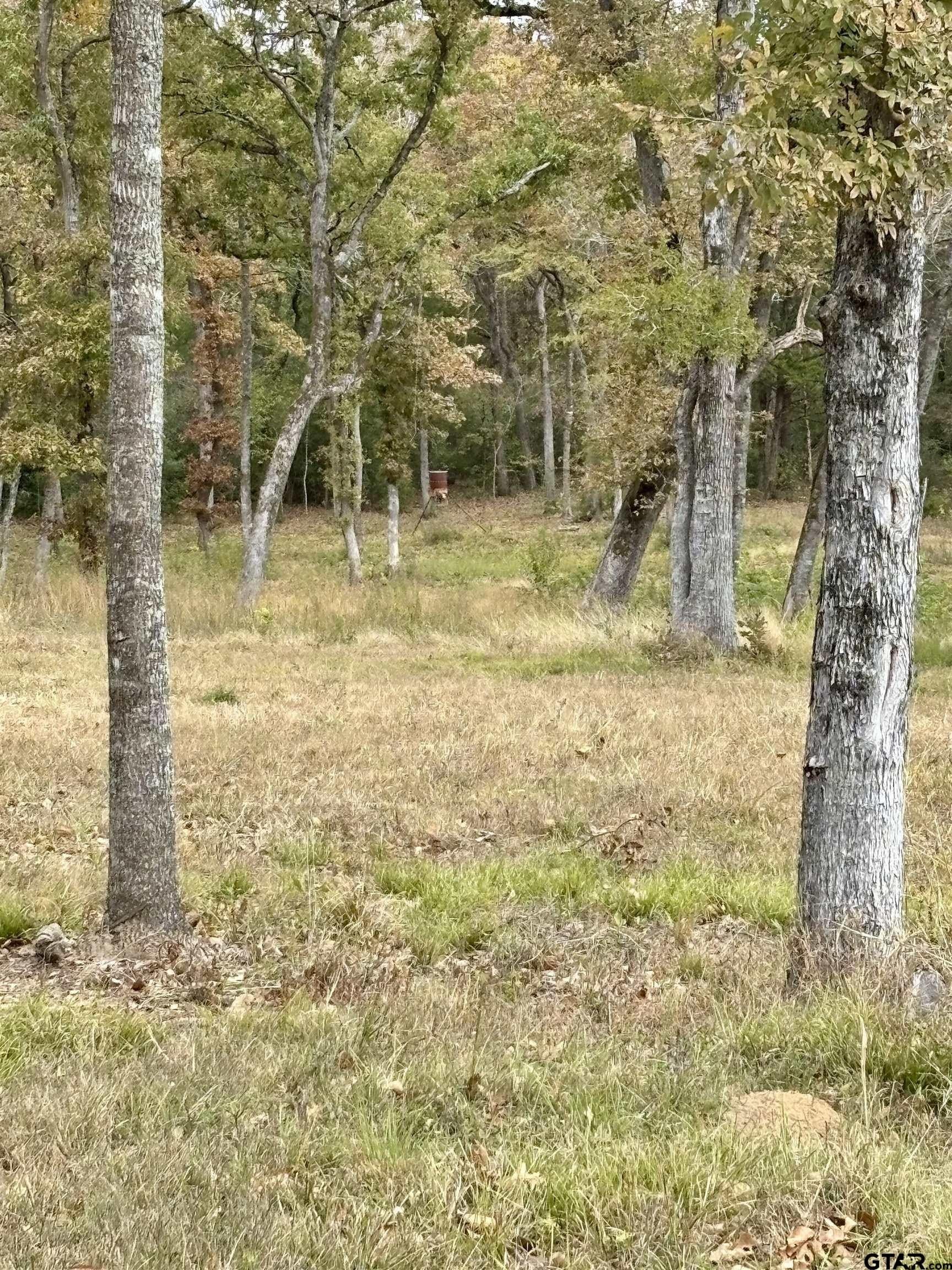 29 acres in Anderson County - photo 11