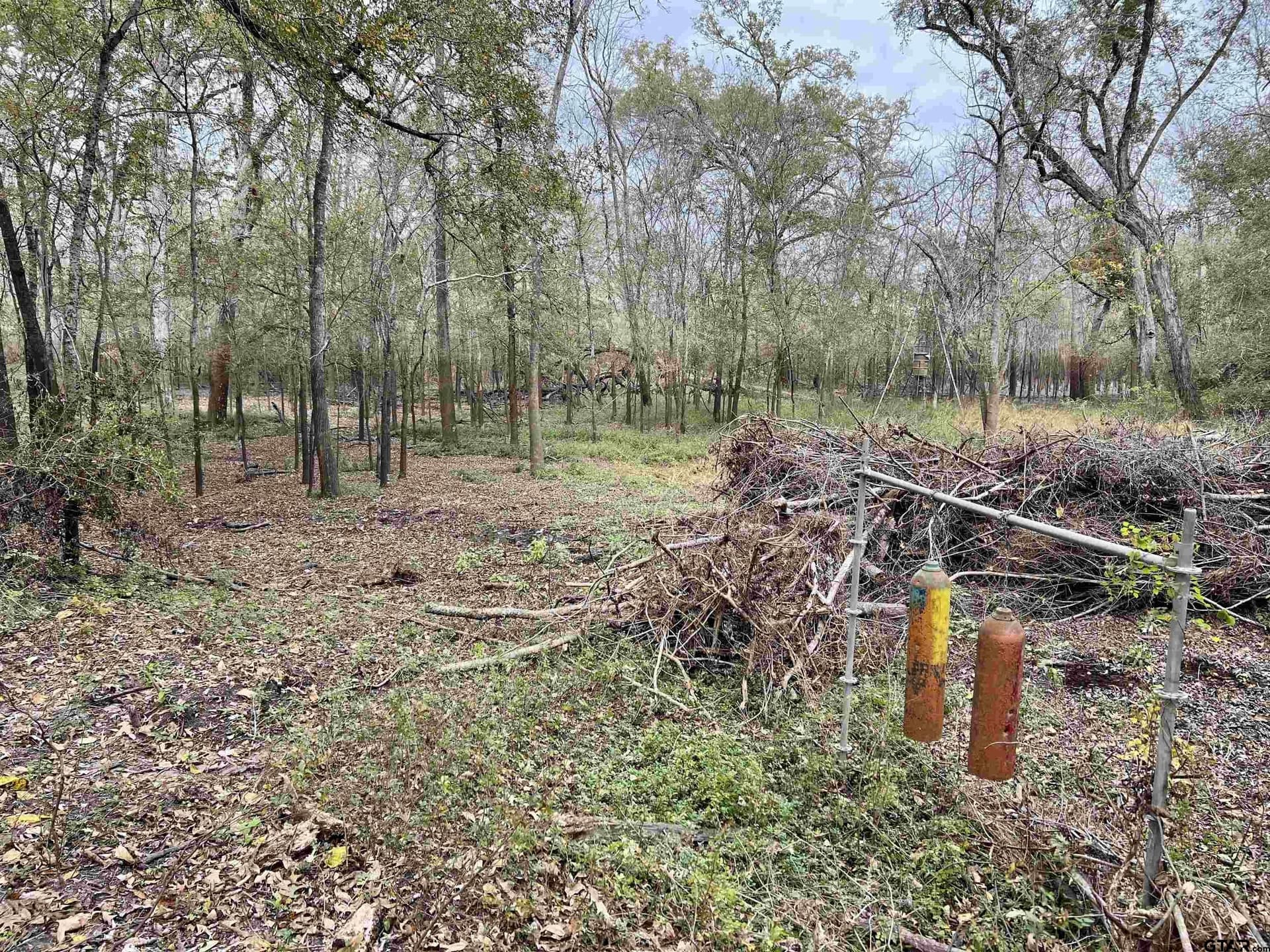 29 acres in Anderson County - photo 17