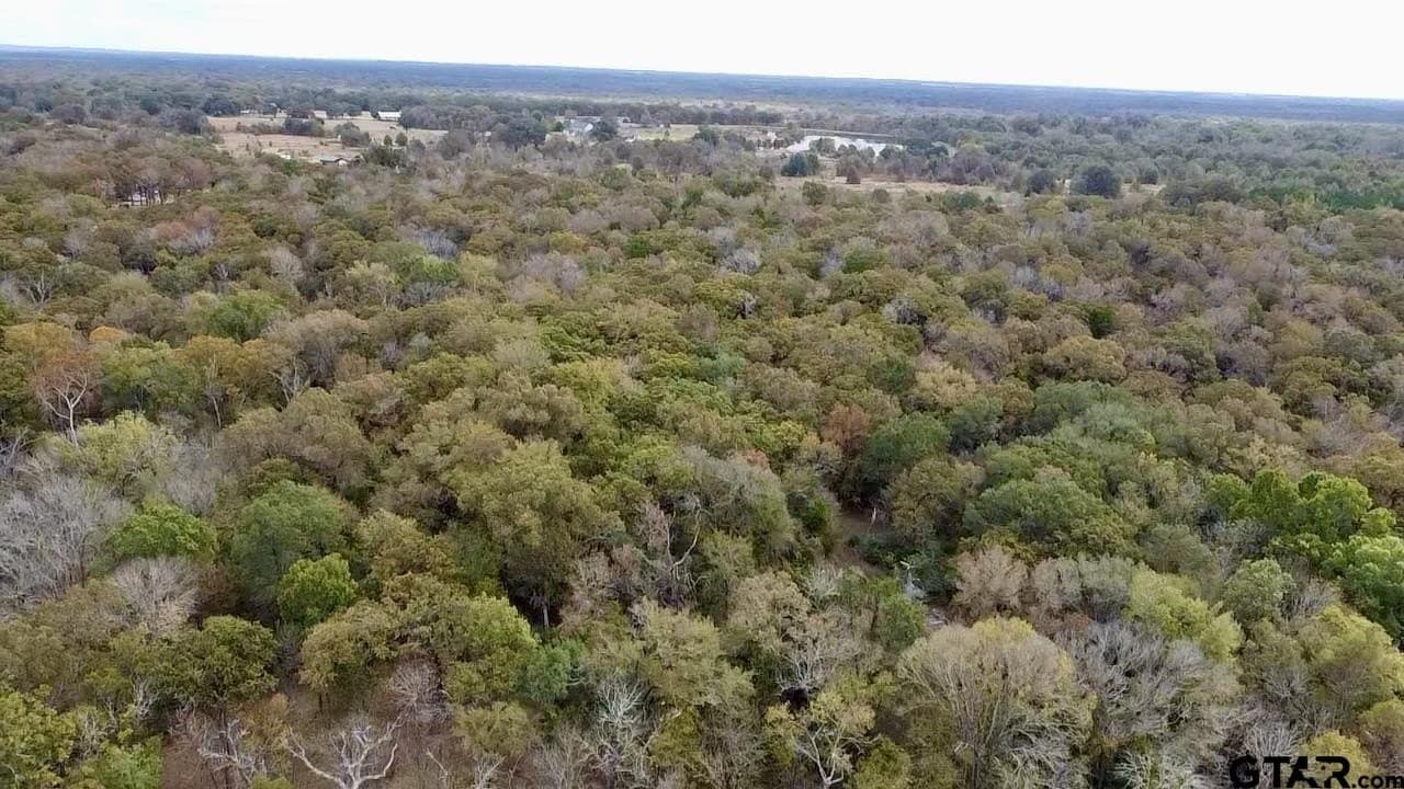 29 acres in Anderson County gallery image 4
