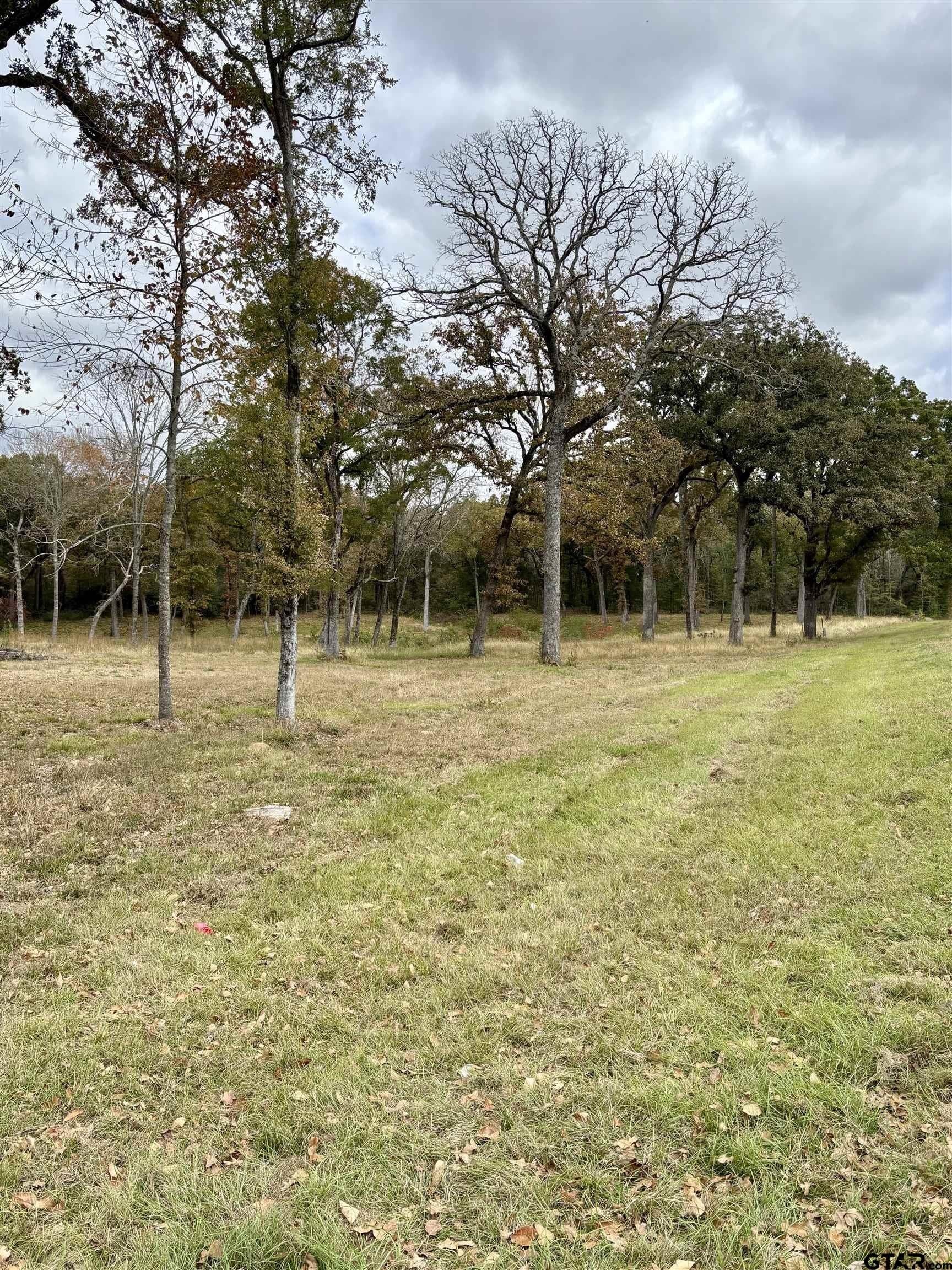 29 acres in Anderson County - photo 10