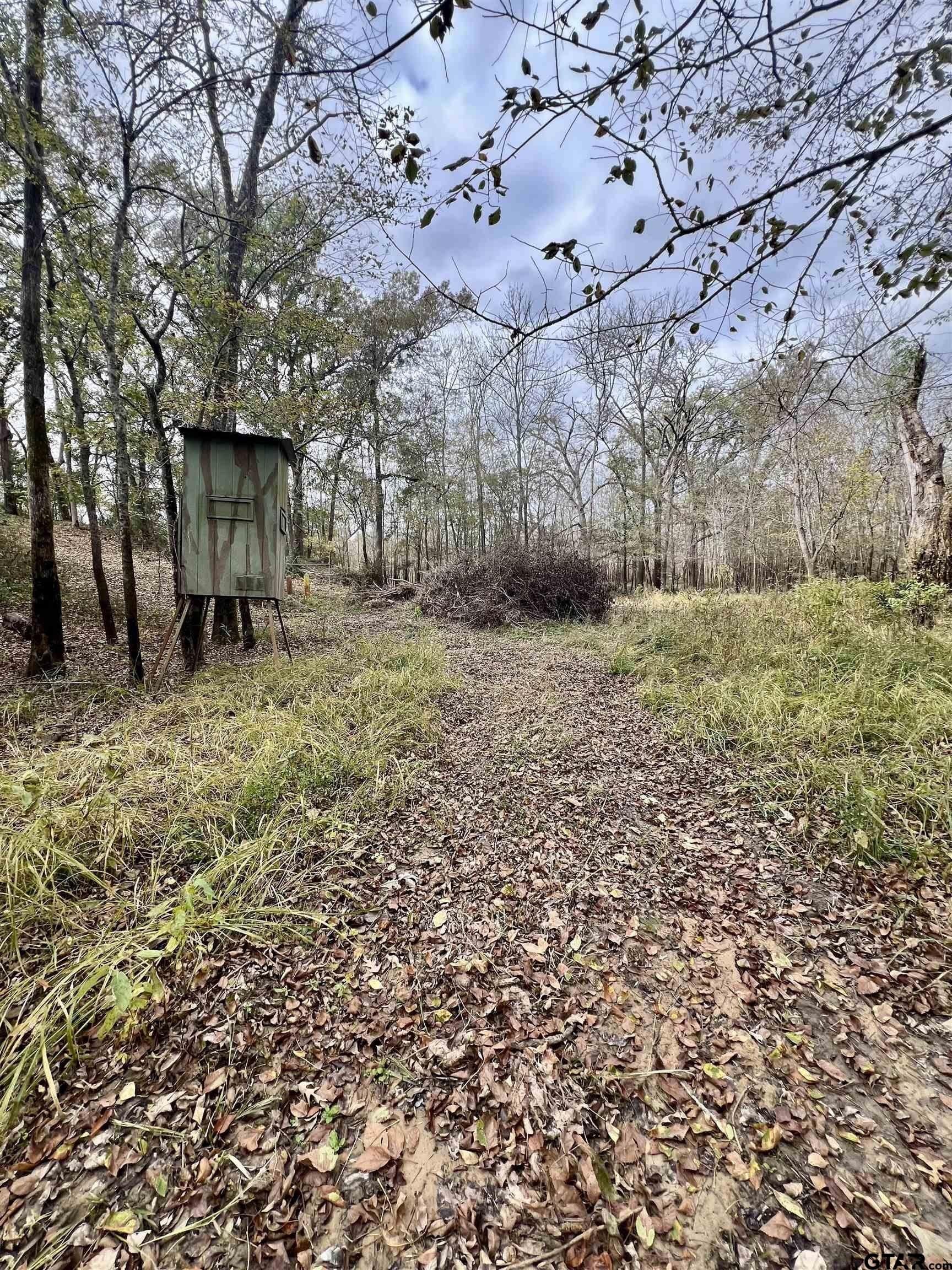 29 acres in Anderson County - photo 18