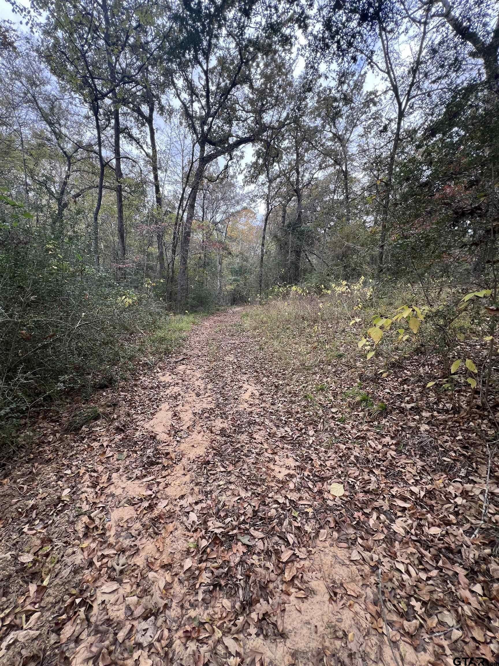 29 acres in Anderson County - photo 15