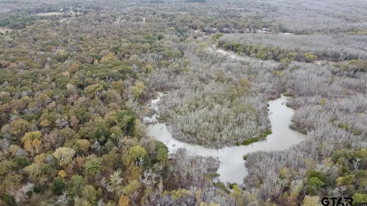 29 acres in Anderson County - photo 21