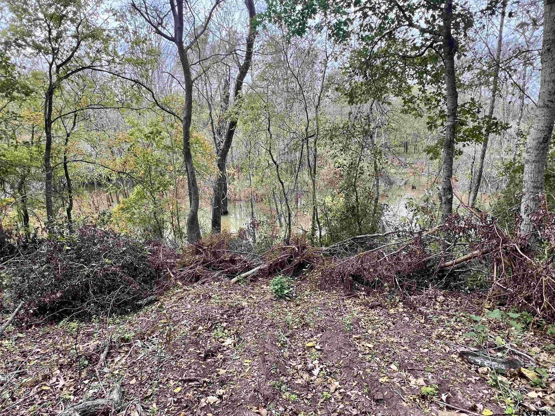 29 acres in Anderson County - photo 16