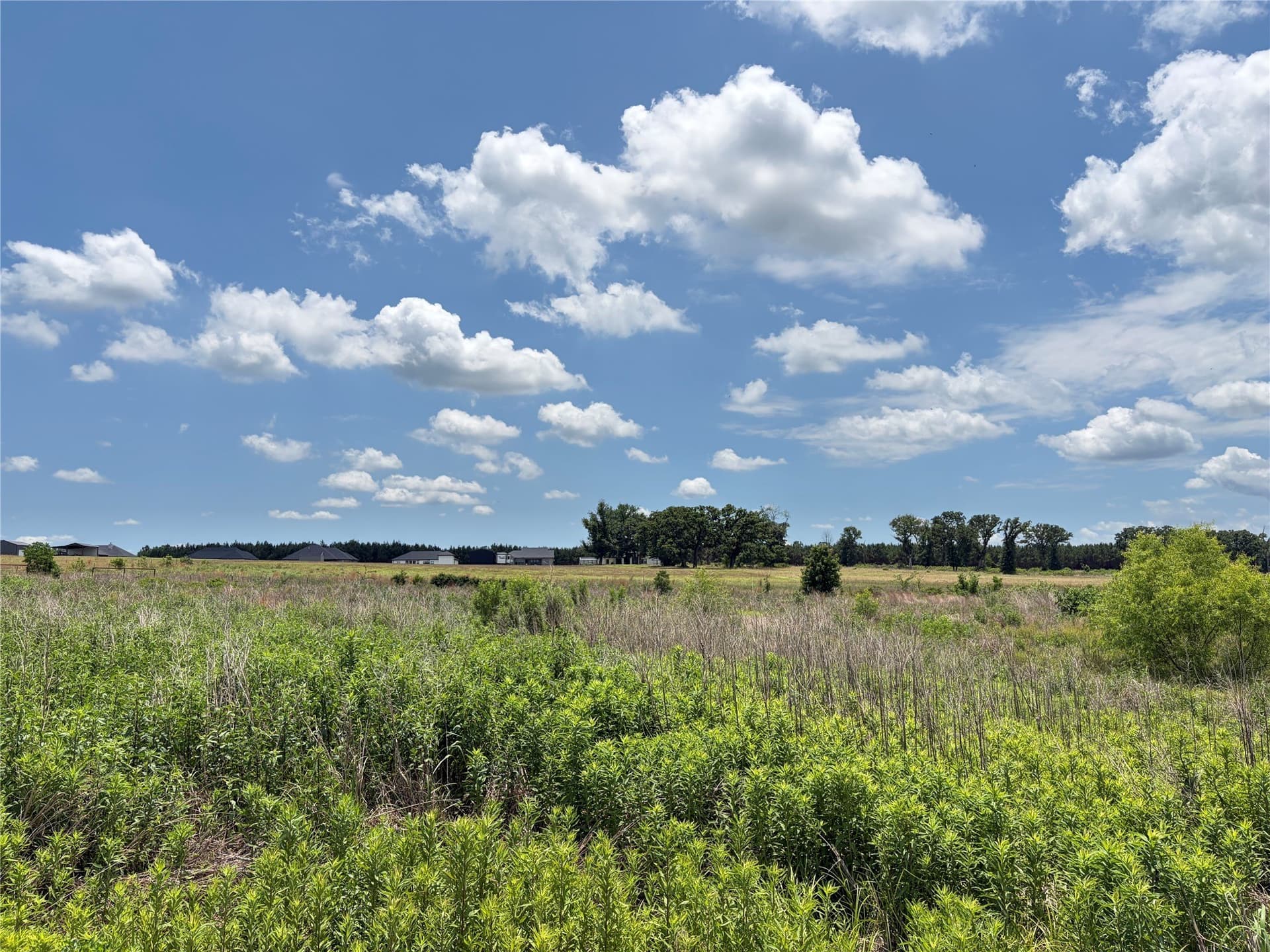 0.84 acres in Henderson County - photo 15