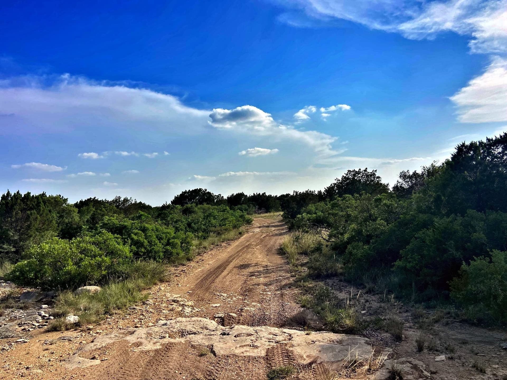 109.99 acres in Val Verde County gallery image 4