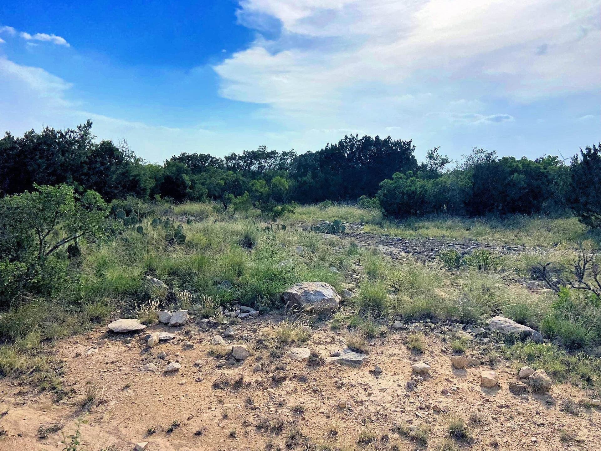 109.99 acres in Val Verde County gallery image 2