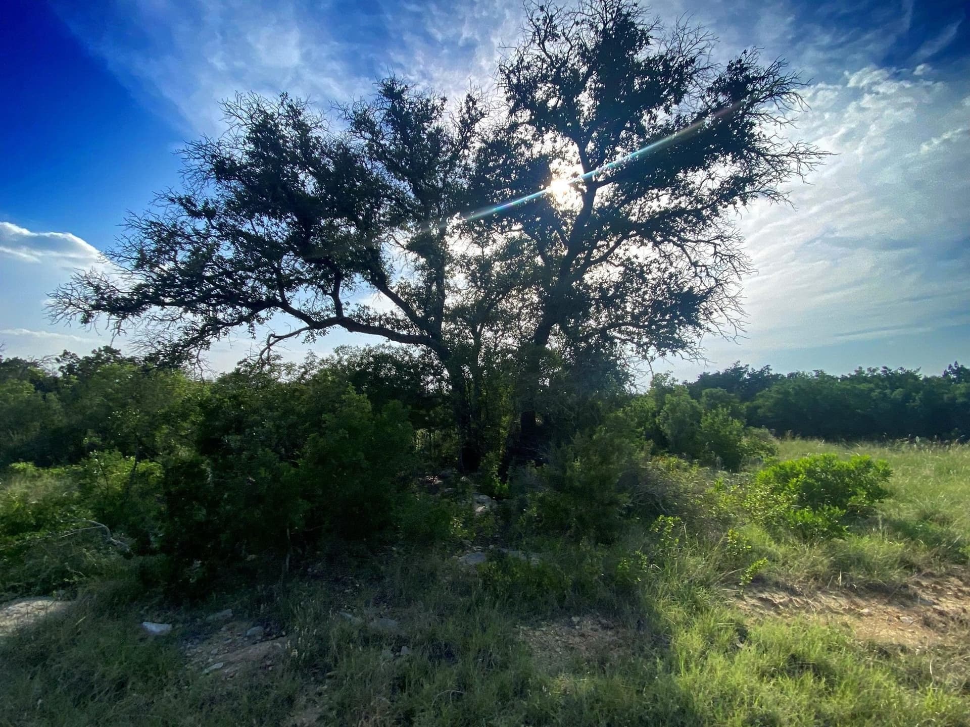 109.99 acres in Val Verde County gallery image 3