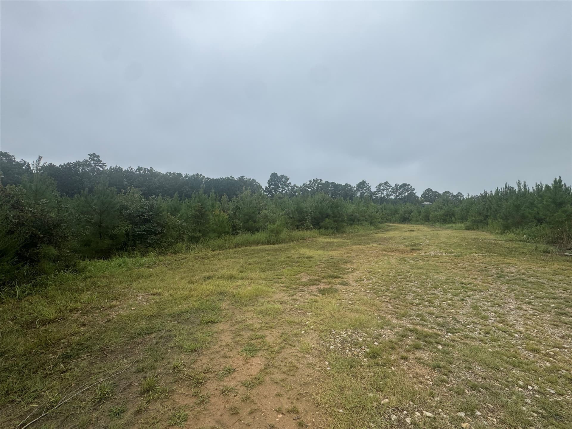 32.86 acres in Red River (TX) County - photo 14