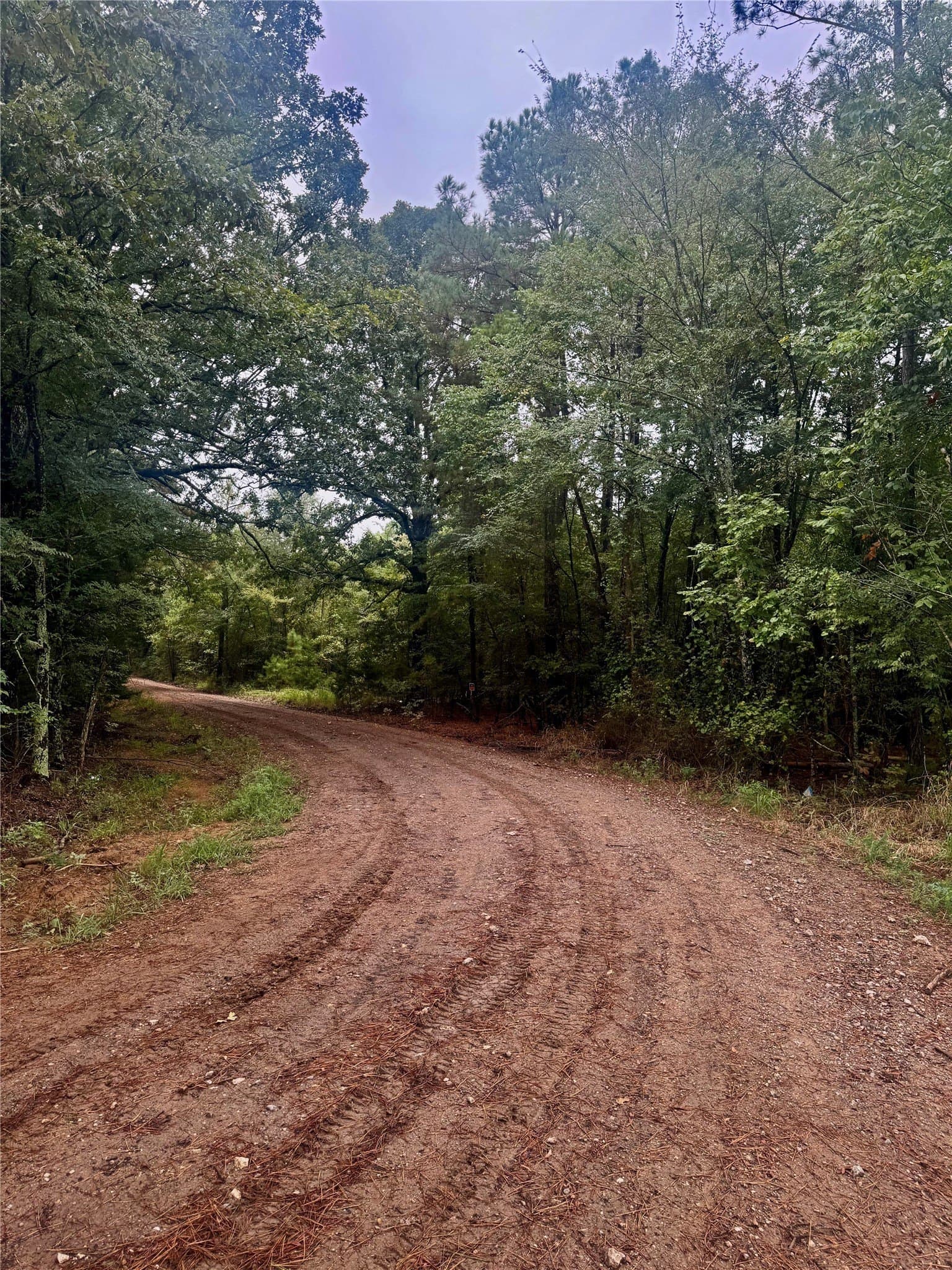 32.86 acres in Red River (TX) County gallery image 3
