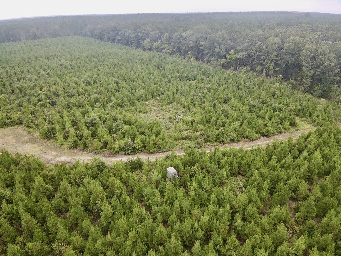 32.86 acres in Red River (TX) County