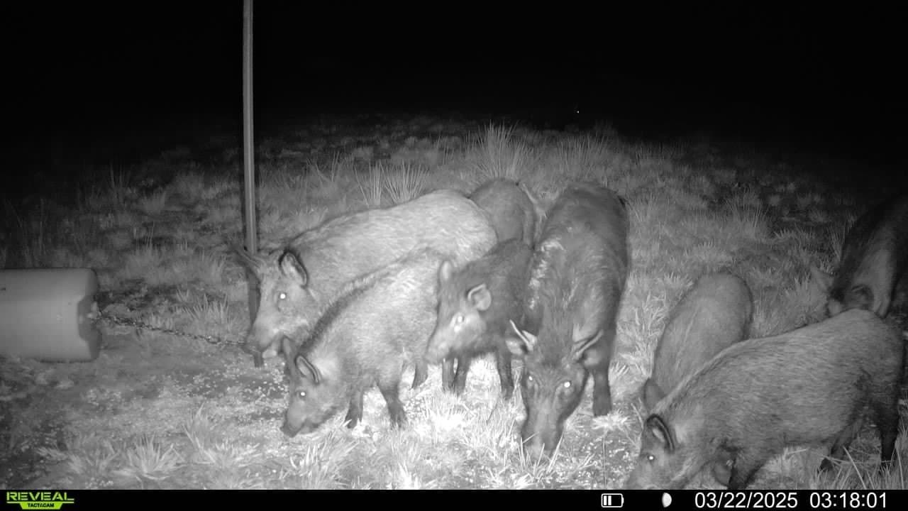 32.86 acres in Red River (TX) County - photo 21