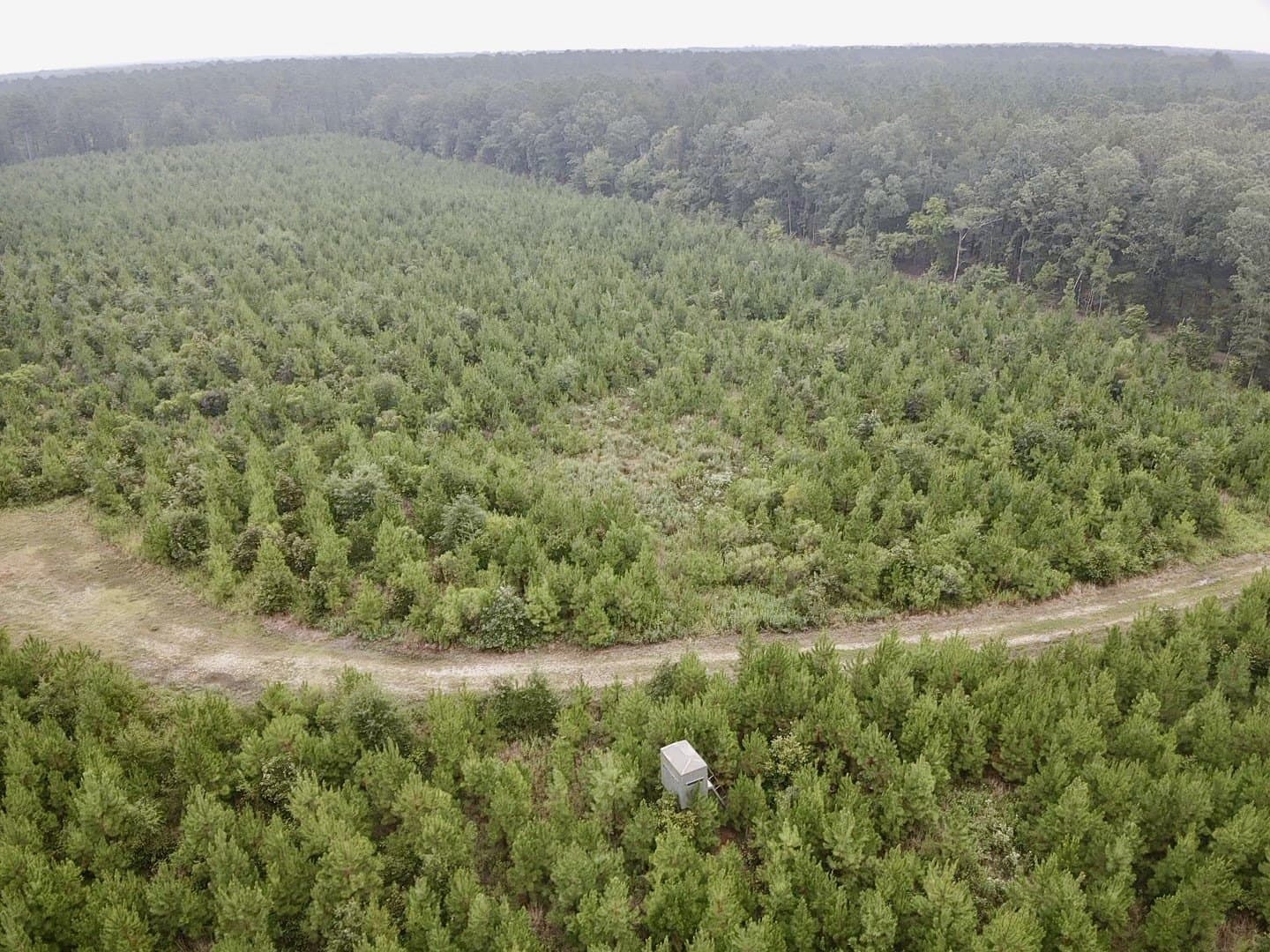 32.86 acres in Red River (TX) County - photo 24