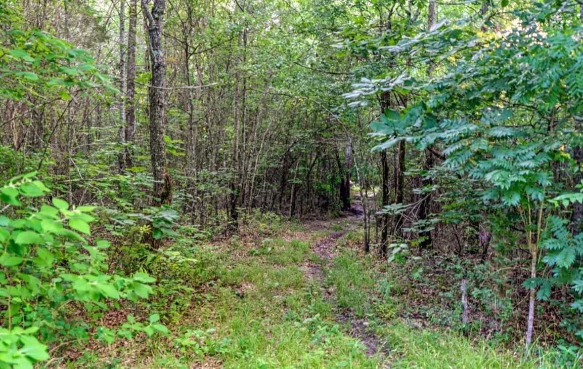 32.86 acres in Red River (TX) County - photo 18