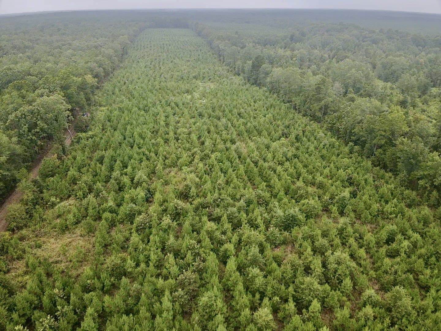 32.86 acres in Red River (TX) County - photo 23