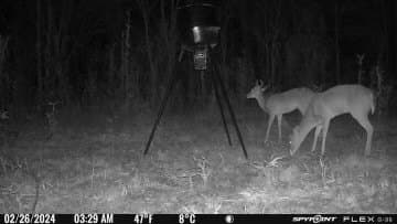 32.86 acres in Red River (TX) County - photo 20