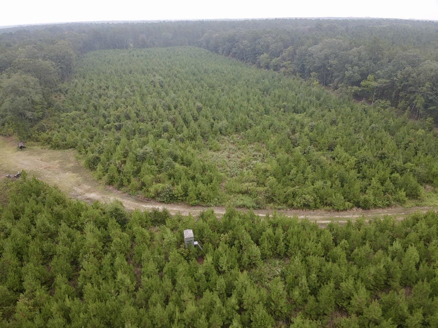 32.86 acres in Red River (TX) County - photo 25
