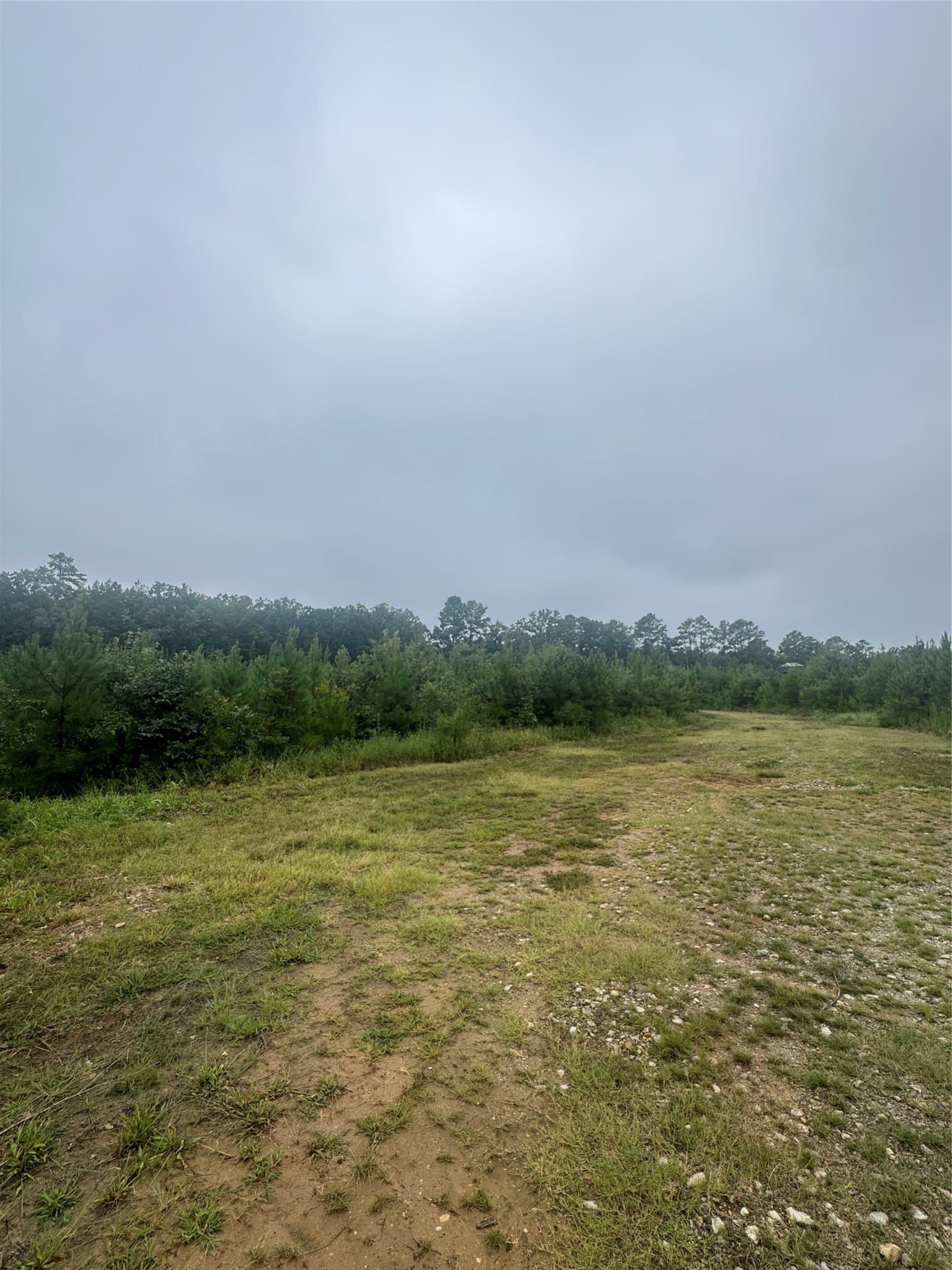 32.86 acres in Red River (TX) County - photo 15