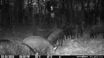 32.86 acres in Red River (TX) County - photo 19