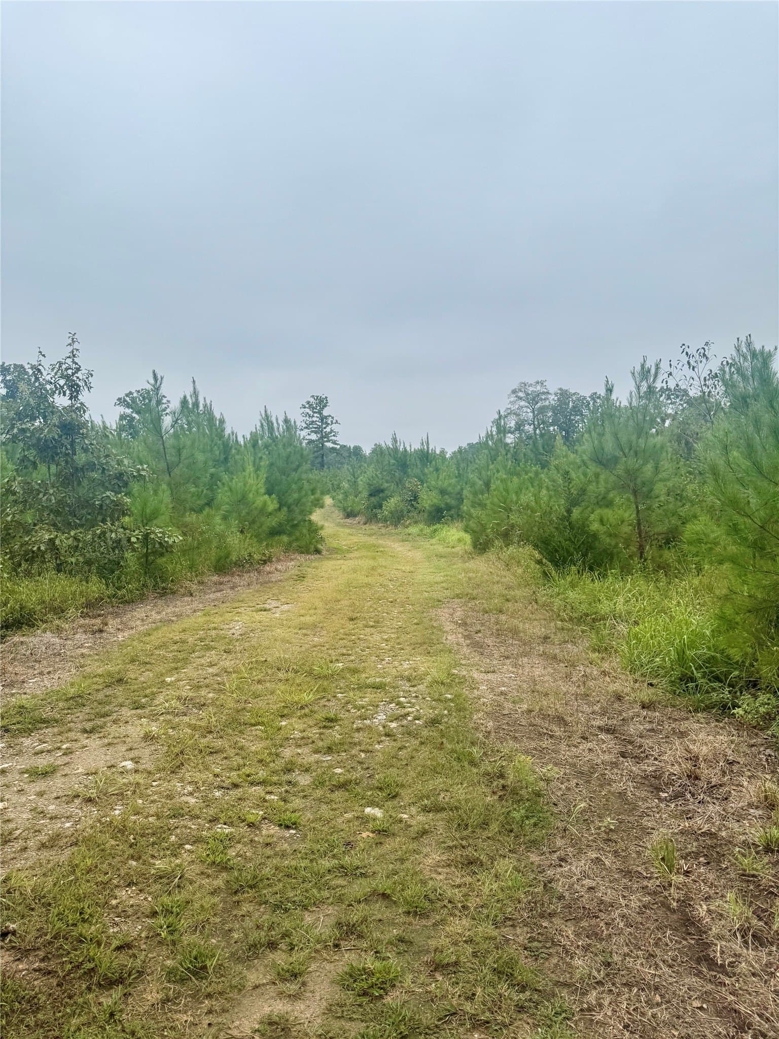 32.86 acres in Red River (TX) County - photo 9