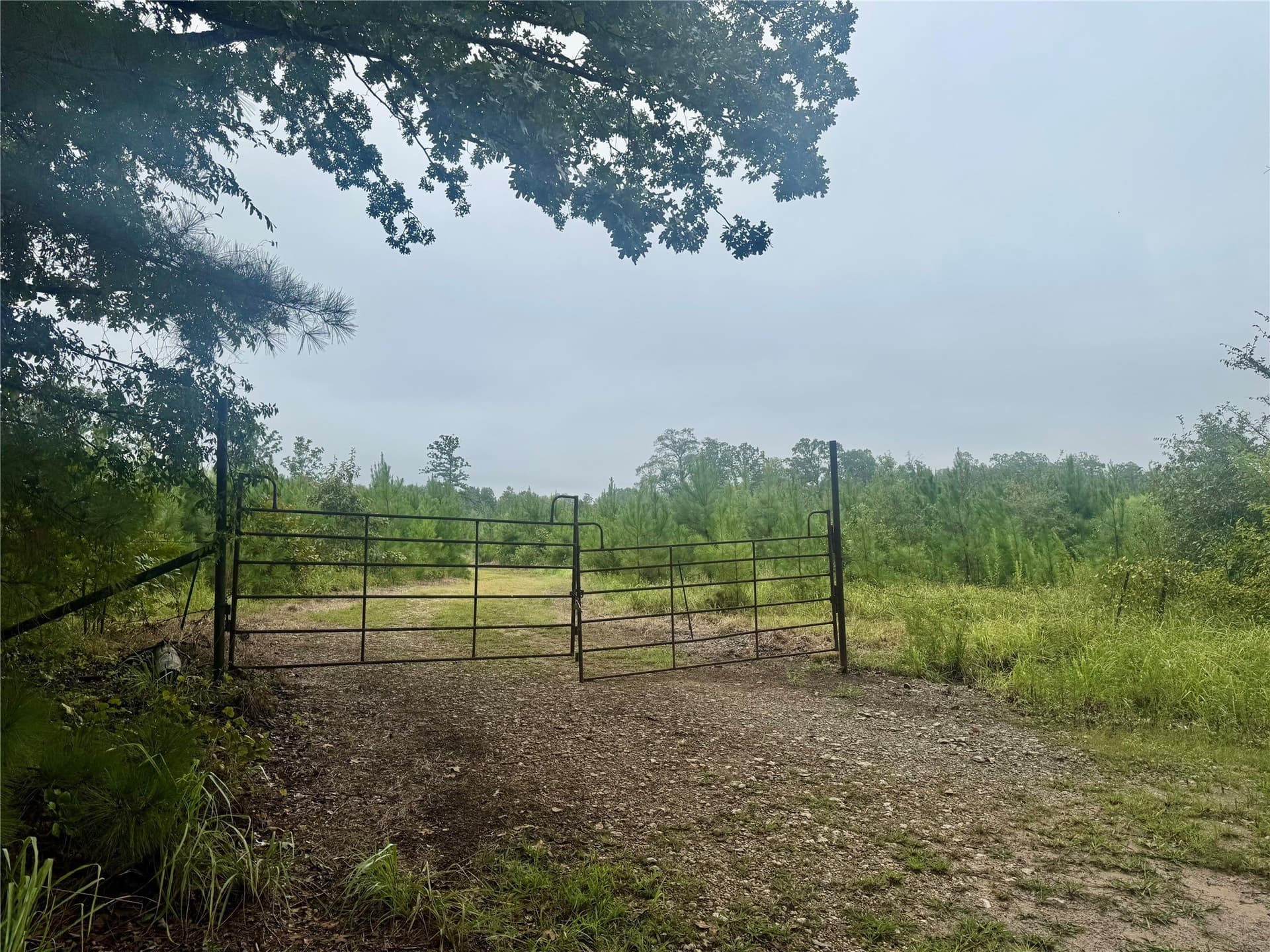32.86 acres in Red River (TX) County featured view