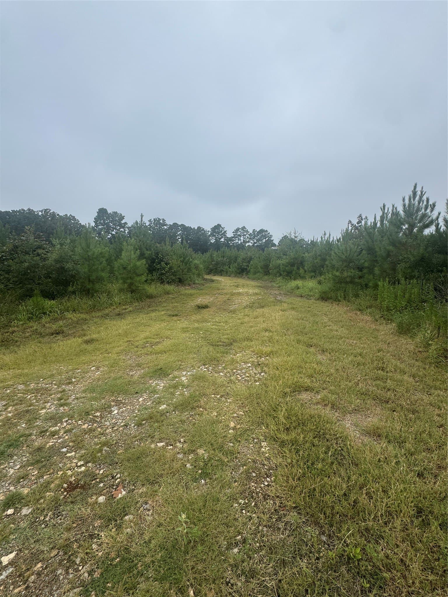 32.86 acres in Red River (TX) County - photo 13