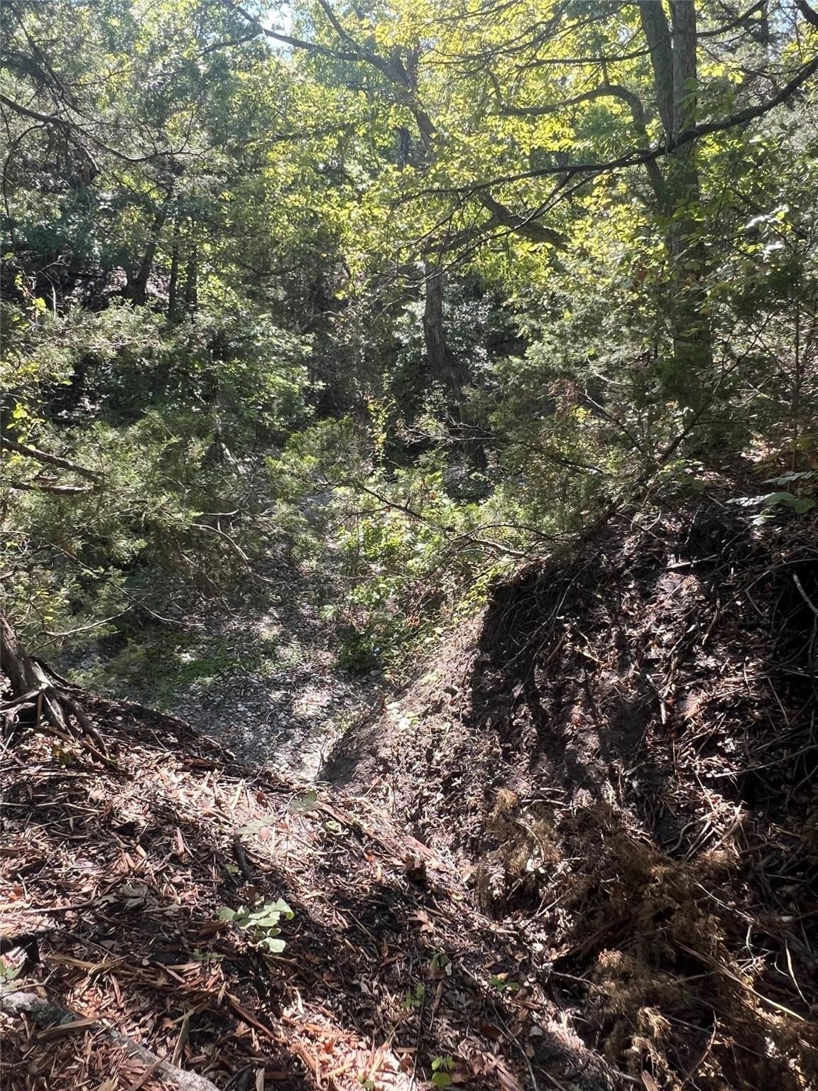 11.05 acres in Grayson County - photo 14