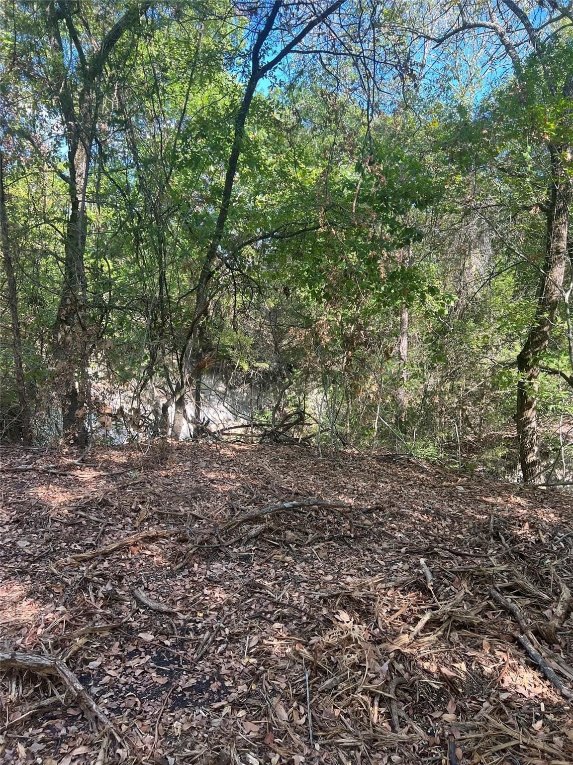 11.05 acres in Grayson County - photo 22