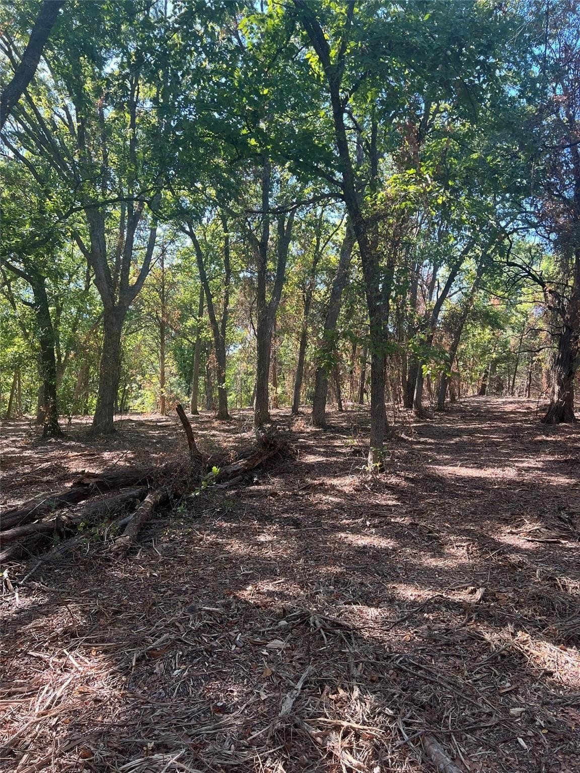 11.05 acres in Grayson County - photo 13
