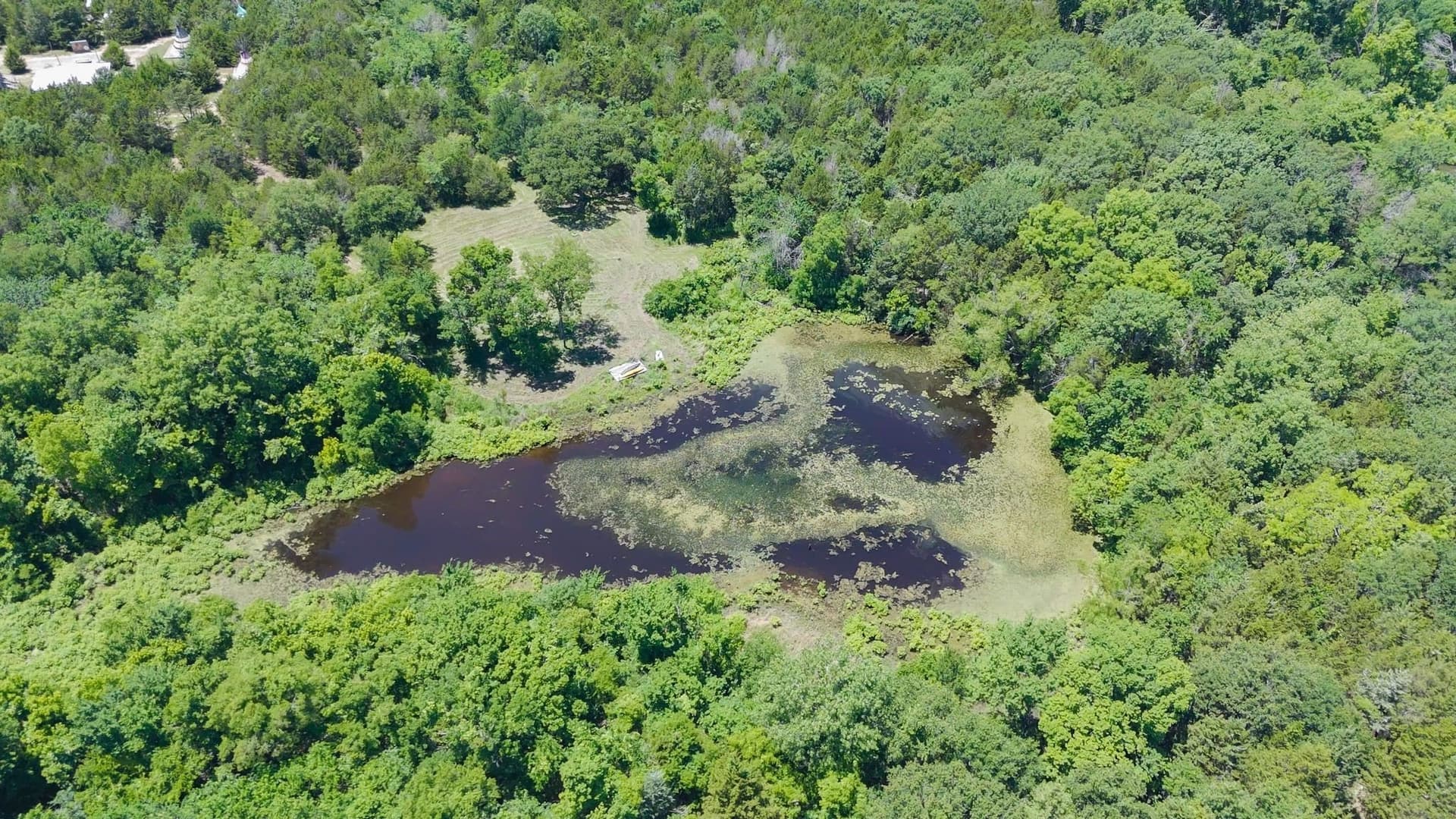 20 acres in Van Zandt County - photo 13